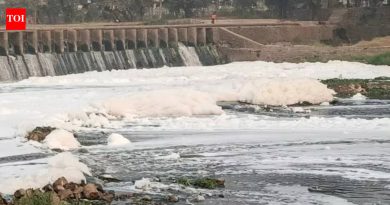 नदी वाचवा: पूज्य इंद्रायणीसाठी भावपूर्ण प्रार्थना