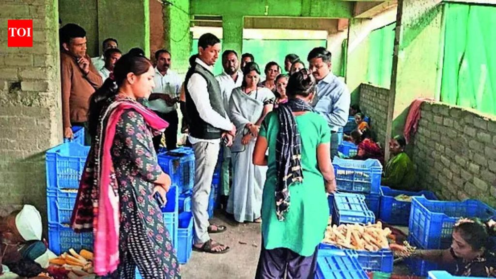 पेर्ने महिलेचा स्वीट कॉर्न उपक्रम 45 लोकांना रोजगार देतो, स्वत: ची किंमत वाढवतो