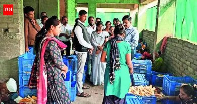 पेर्ने महिलेचा स्वीट कॉर्न उपक्रम 45 लोकांना रोजगार देतो, स्वत: ची किंमत वाढवतो