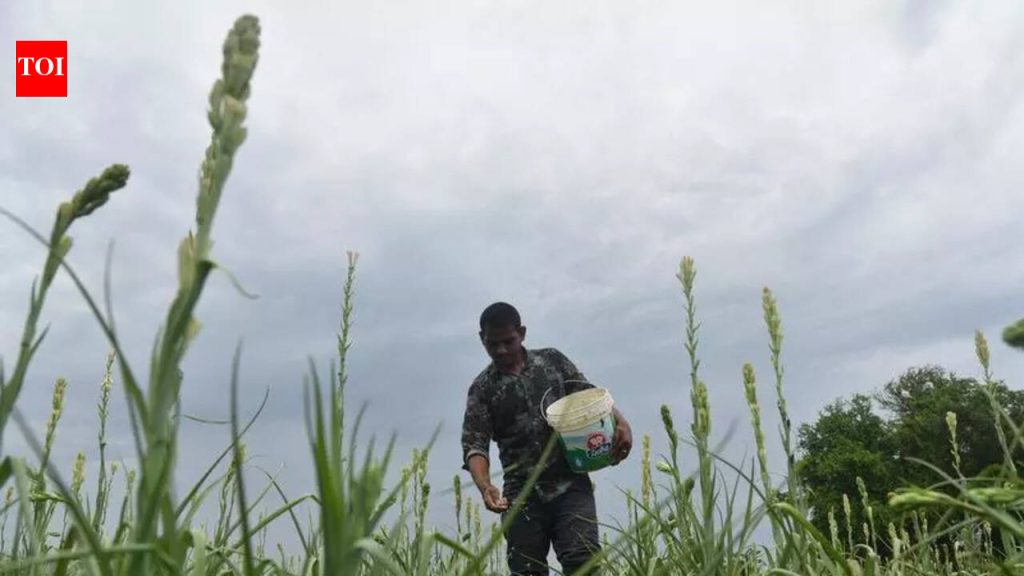 नैसर्गिक शेती वाढवण्यासाठी धोरणात्मक प्रयत्न आवश्यक आहेत, असे तज्ज्ञांचे म्हणणे आहे