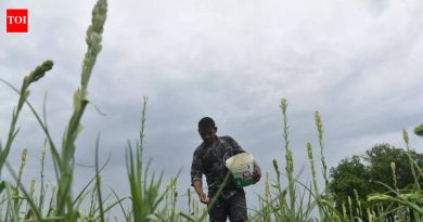 नैसर्गिक शेती वाढवण्यासाठी धोरणात्मक प्रयत्न आवश्यक आहेत, असे तज्ज्ञांचे म्हणणे आहे
