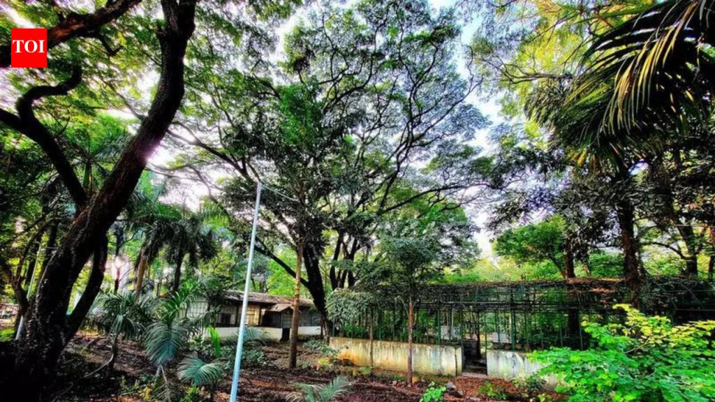 मुंढवा जमीन व्यवहार: अमाडियाने कागदपत्रांसाठी वेळ मागितल्यानंतर IGR पुढील सुनावणी 16 मार्च रोजी ठेवणार आहे