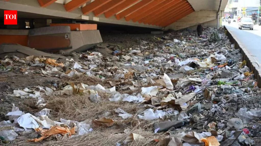 विद्यापीठाने डम्पिंग साइटवर प्रवेश बंद केल्याने लोणी काळभोरमध्ये कचऱ्याचे संकट ओढवले आहे