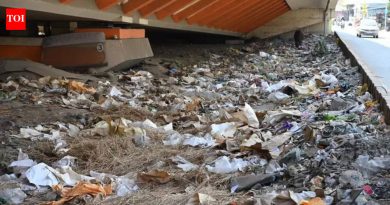 विद्यापीठाने डम्पिंग साइटवर प्रवेश बंद केल्याने लोणी काळभोरमध्ये कचऱ्याचे संकट ओढवले आहे