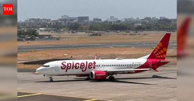 स्पाईसजेटचे 150 हून अधिक प्रवासी विमानात 2 तास घालवतात, 4 तास उशिराने उतरतात