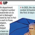 1 मार्चपासून राज्यात उष्माघाताचे 15 रुग्ण