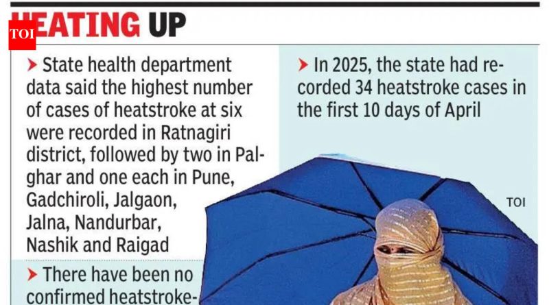 1 मार्चपासून राज्यात उष्माघाताचे 15 रुग्ण