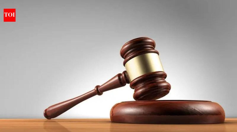 2019 मध्ये शासकीय कार्यालयात महसूल अधिकाऱ्यावर हल्ला केल्याप्रकरणी शेतकऱ्याला 2 वर्षांची शिक्षा; जामीन मंजूर केला