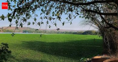 आमदारांनी उचलला जलकुंभाचा प्रश्न; सामूहिक प्रयत्नांसाठी जोर द्या