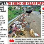 फॉरेस्ट पॅच डंपिंग ग्राउंड बनवतात, पर्यावरण आणि आगीची चिंता वाढवतात