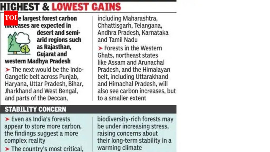 2100 पर्यंत फॉरेस्ट कार्बन 97% पर्यंत वाढेल, मुख्य इकोसिस्टम कमकुवत होऊ शकतात: अभ्यास