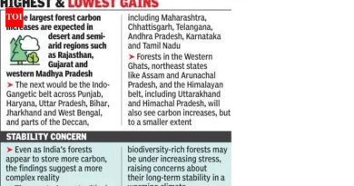 2100 पर्यंत फॉरेस्ट कार्बन 97% पर्यंत वाढेल, मुख्य इकोसिस्टम कमकुवत होऊ शकतात: अभ्यास