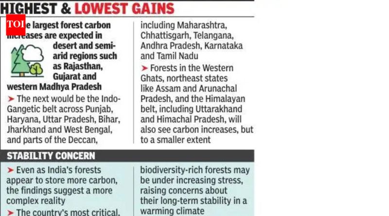 2100 पर्यंत फॉरेस्ट कार्बन 97% पर्यंत वाढेल, मुख्य इकोसिस्टम कमकुवत होऊ शकतात: अभ्यास