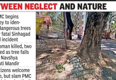 पीएमसी धोकादायक झाडांचे सर्वेक्षण करणार, कार्यकर्त्यांनी कारवाईला उशीर केला