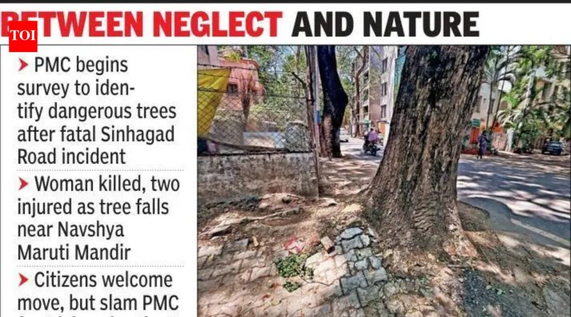 पीएमसी धोकादायक झाडांचे सर्वेक्षण करणार, कार्यकर्त्यांनी कारवाईला उशीर केला