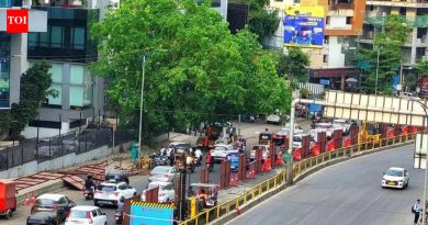 मेट्रोच्या वनाझ-चांदणी चौक एलिव्हेटेड एक्स्टेंशनच्या कामाला अखेर सुरुवात झाली आहे