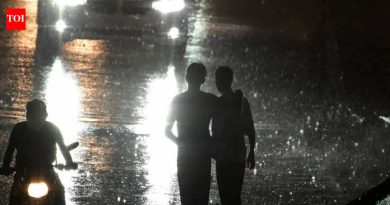 सातारा, सांगली जिल्ह्यांत पावसाने दिलासा दिला