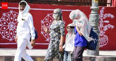 रात्रीचे तापमान वाढल्याने उष्माघाताचा धोका वाढतो: डॉक्स