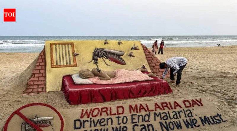 मलेरिया संपवण्यासाठी भारत अजूनही का धडपडत आहे?