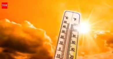 तापमान ४२.४ अंश सेल्सिअसपर्यंत वाढल्याने पुण्यात या उन्हाळ्यातील सर्वात उष्ण दिवस आहे; लोहेगाव 15 दिवसांसाठी 40 डिग्री सेल्सिअस अधिक