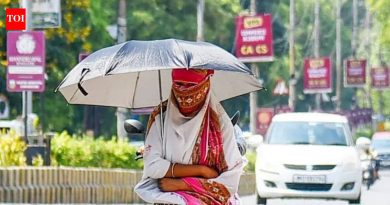 संभाजीनगर 43.4 डिग्री सेल्सिअस तापमानात भाजले, वीज खंडित झाल्याने रहिवाशांच्या त्रासात भर पडली