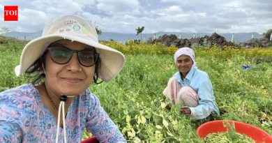 विंडोजिल ते शेत: शहरातील रहिवाशांचा वाढता प्रवास हा ग्रीन सिग्नल आहे