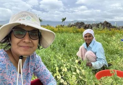 विंडोजिल ते शेत: शहरातील रहिवाशांचा वाढता प्रवास हा ग्रीन सिग्नल आहे