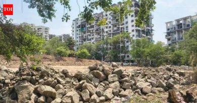 शहरी जैवविविधतेला चालना देण्यासाठी NIBM रोड परिसरात मियावाकी जंगलाची योजना केली आहे