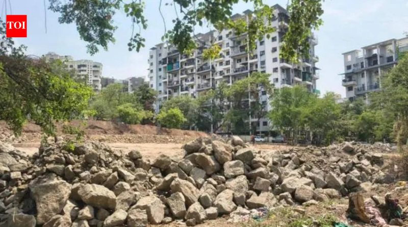 शहरी जैवविविधतेला चालना देण्यासाठी NIBM रोड परिसरात मियावाकी जंगलाची योजना केली आहे