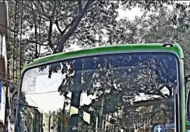 बस थांबवणाऱ्या ३ पैकी दोन पोलिसांनी ब्रेक पेडल दाबण्यासाठी हात वापरले