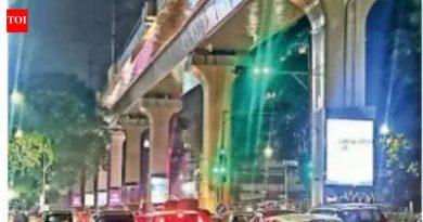 रेल्वे वाहतूक इन्फ्रा पासून, मेट्रोचे खांब पीएमसीच्या कमाईचे स्त्रोत बनवतात