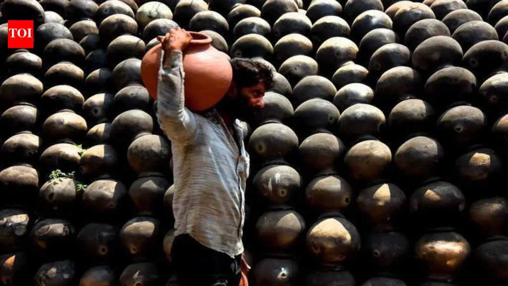 महाराष्ट्राच्या काही भागांमध्ये, 46-47° सेल्सिअस उष्णतेमुळे भाजीपाला पिकांचे नुकसान होते; शेतकऱ्यांना उत्पादन नुकसान, भाव वाढण्याची भीती