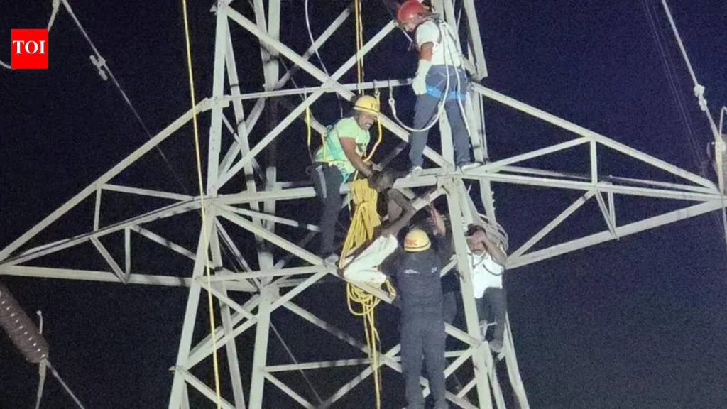 निगडीतील १३२ केव्ही हाय टेंशन ट्रान्समिशन टॉवरवर चढल्याने वाहतूक कोंडी, वीजवाहिनी बंद; 3 तासांनंतर सुटका