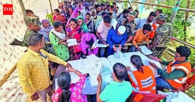 प्री-एसआयआर मतदार मॅपिंगमध्ये पुणे, मुंबई अजूनही मागे आहेत