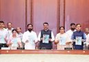 मुख्यमंत्र्यांचे पीएमआरडीएला सहा महिन्यांत संरचनात्मक आराखडा तयार करण्याचे निर्देश, दुहेरी बोगद्यासाठी एसपीव्ही उभारण्याचे निर्देश