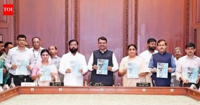मुख्यमंत्र्यांचे पीएमआरडीएला सहा महिन्यांत संरचनात्मक आराखडा तयार करण्याचे निर्देश, दुहेरी बोगद्यासाठी एसपीव्ही उभारण्याचे निर्देश