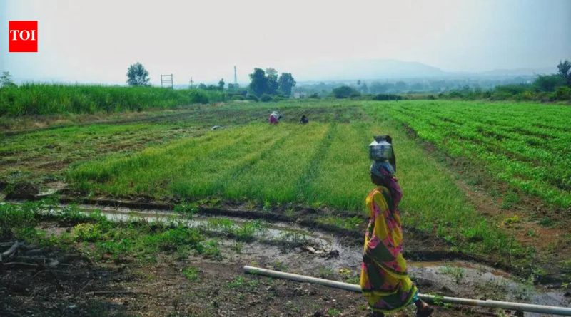 पुरंदर विमानतळ रस्ता जोडणीसाठी निधी गेल्या वर्षीच्या अर्थसंकल्पात मंजूर : PMRDA