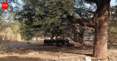 पुणे आणि खडकी कॅन्टोन्मेंटमधील खुली संरक्षण जमीन कचरा डंपिंग ग्राउंड बनली आहे
