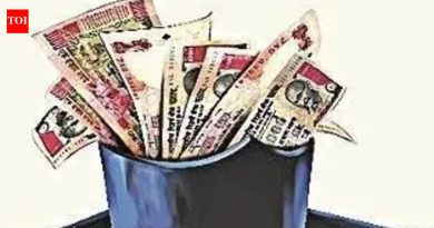 सरकारने स्पष्ट केले पटवर्धन यांच्या नेतृत्वाखालील पॅनेलचे उद्दिष्ट अनुदानित महाविद्यालये केवळ नफेखोरीसाठी खाजगी विद्यापीठांमध्ये रूपांतरित होण्यापासून रोखण्यासाठी सुरक्षा उपाय तयार करणे आहे