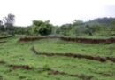 सरकार प्रस्तावित जमीन शीर्षक कायद्यांतर्गत सर्व भूखंडांसाठी मूल्यांकनासह प्रॉपर्टी कार्ड सादर करणार आहे