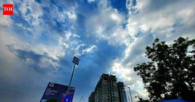 पुण्यात ४३.८ अंश सेल्सिअस तापमान आहे, मे दिवसाचा आतापर्यंतचा सर्वात उष्ण