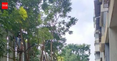 खाजगी सोसायट्यांमध्ये वृक्षतोड करण्यासाठी भाजप आमदाराची PCMC धोरणाची मागणी, अधिकाऱ्यांचे आव्हान