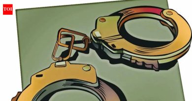 कारमधून मौल्यवान वस्तू चोरणाऱ्याला पोलिसांनी अटक केली
