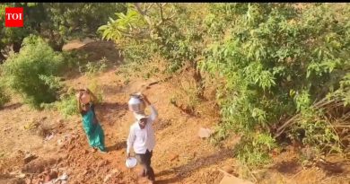 आदिवासी महिला धाडसी डोंगराच्या पायथ्याशी पाण्यात चालत पडण्याचा धोका पत्करतात