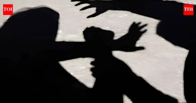 पुणे : कारमध्ये लैंगिक छळाची तक्रार वकिलाने केल्यानंतर चौघांना अटक