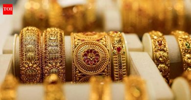 मुलाला मदत करण्याचा प्रयत्न केल्याने महिलेने ₹1.8L किमतीचे सोन्याचे दागिने गमावले | पुणे बातम्या मुलाला मदत करण्याचा प्रयत्न केल्याने महिलेने ₹1.8L किमतीचे सोन्याचे दागिने गमावले | पुणे बातम्या