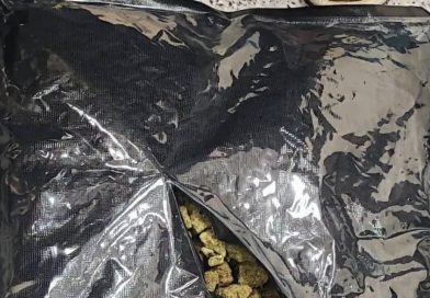 ४७९ किलो गांजा जप्त करण्यात पोलिसांना मदत झाली आंतरराज्य टोळीचा पर्दाफाश