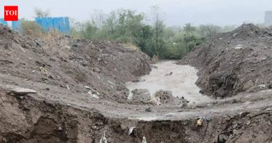 हिंजवडी पूर्व पावसाळ्याच्या कामांसाठी पीएमआरडीएच्या प्रमुखांनी ३१ मेची मुदत दिली, त्रुटी आढळल्यास कारवाईचा इशारा