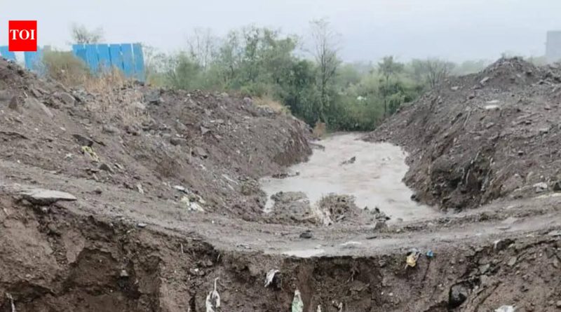 हिंजवडी पूर्व पावसाळ्याच्या कामांसाठी पीएमआरडीएच्या प्रमुखांनी ३१ मेची मुदत दिली, त्रुटी आढळल्यास कारवाईचा इशारा