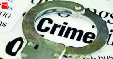 पुण्यात पाळीव मांजराच्या वादातून वृद्ध महिलेला शेजाऱ्यांनी मारहाण केली